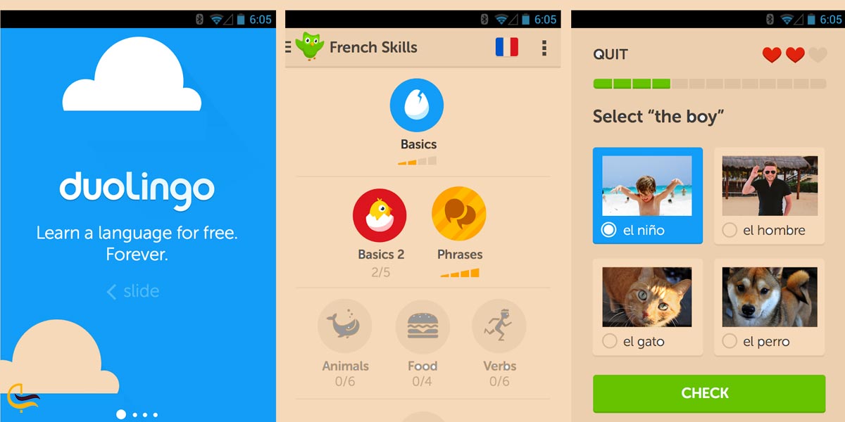 اپلیکیشن Duolingo