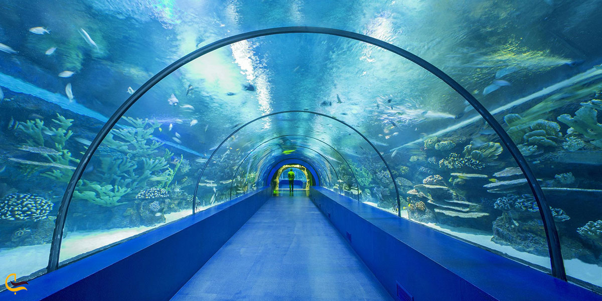 عکس آکواریوم آنتالیا