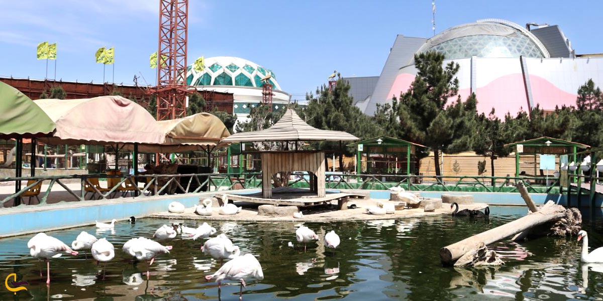 باغ پرندگان مشهد،یکی از جاذبه های تفریحی مشهد