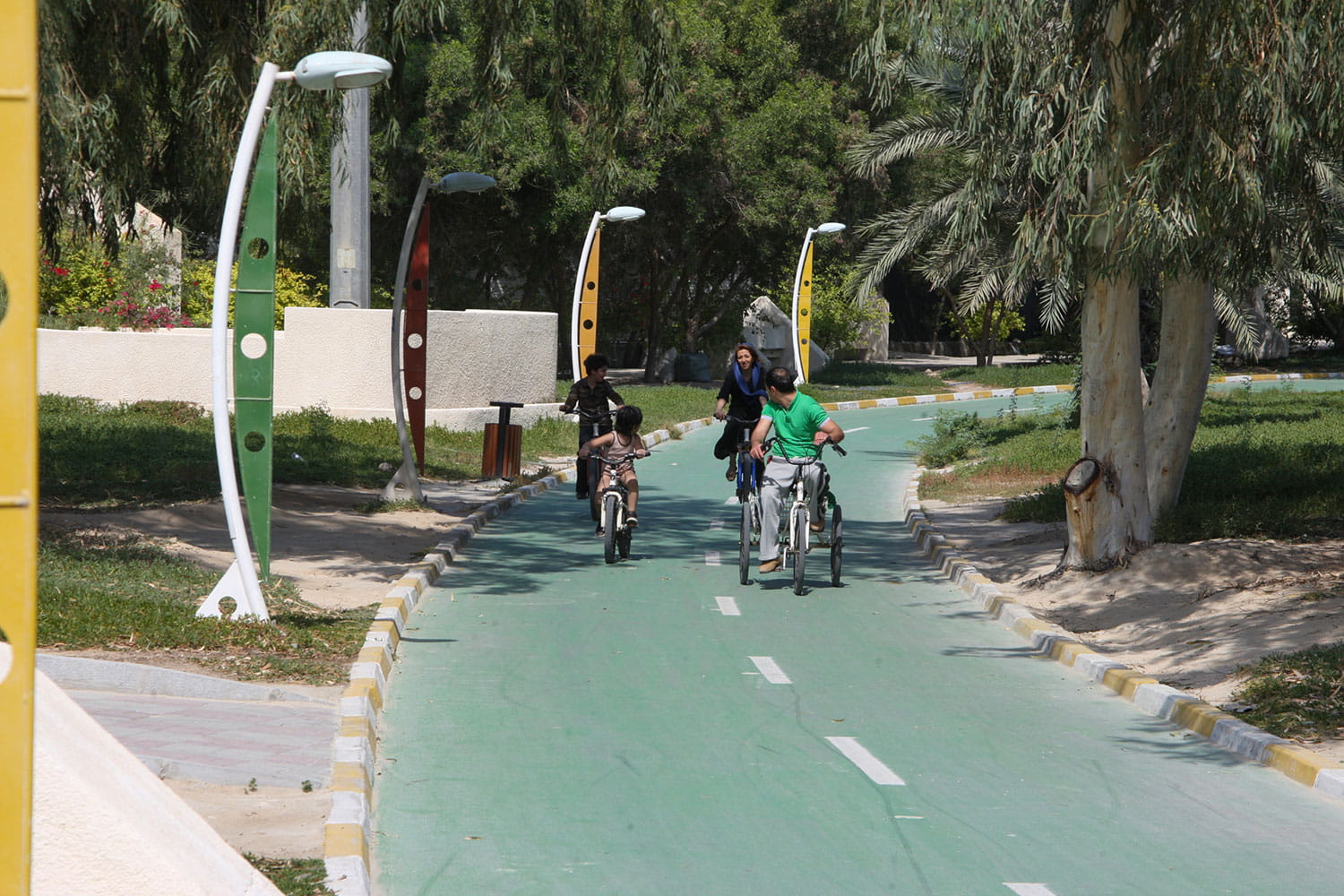 دوچرخه سواری در کیش | رکاب‌زدن در بین درختان نارگیل