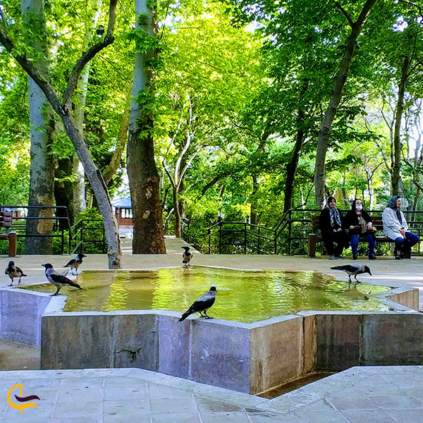 عکس بخش‌های مختلف باغ ایرانی تهران
