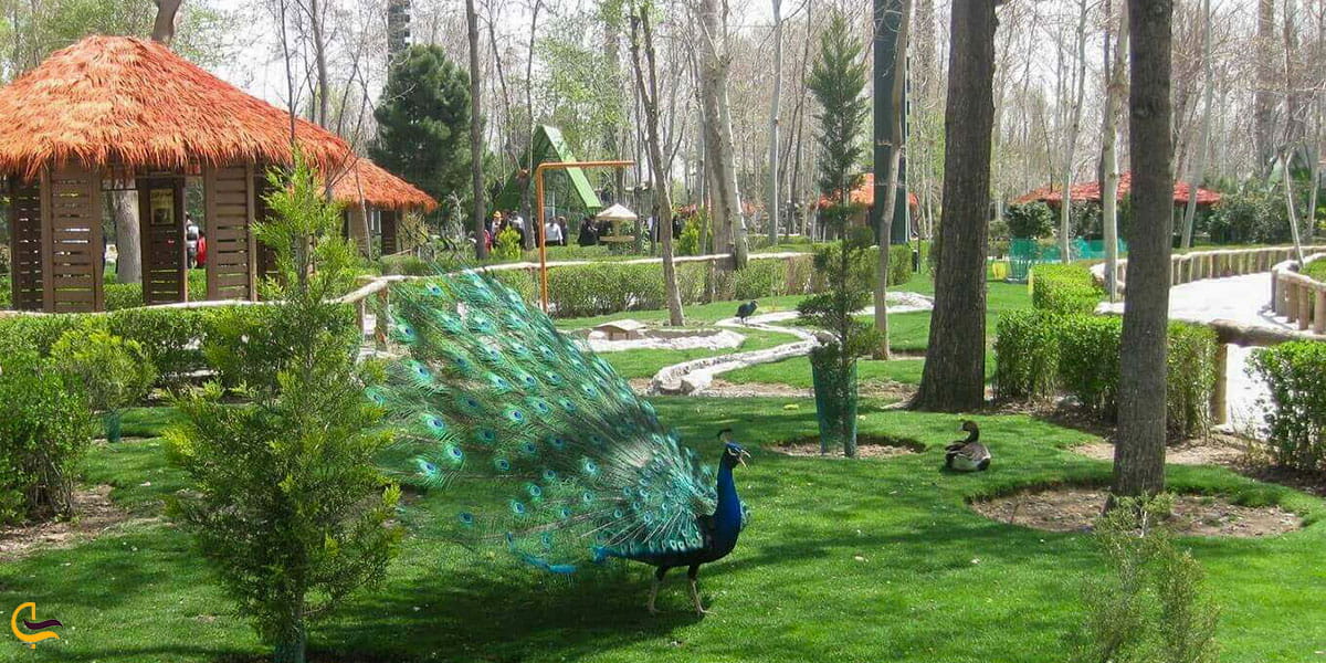 عکس باغ پرندگان ازجاهای دیدنی نزدیک باغ موزه پروانه ها در اصفهان