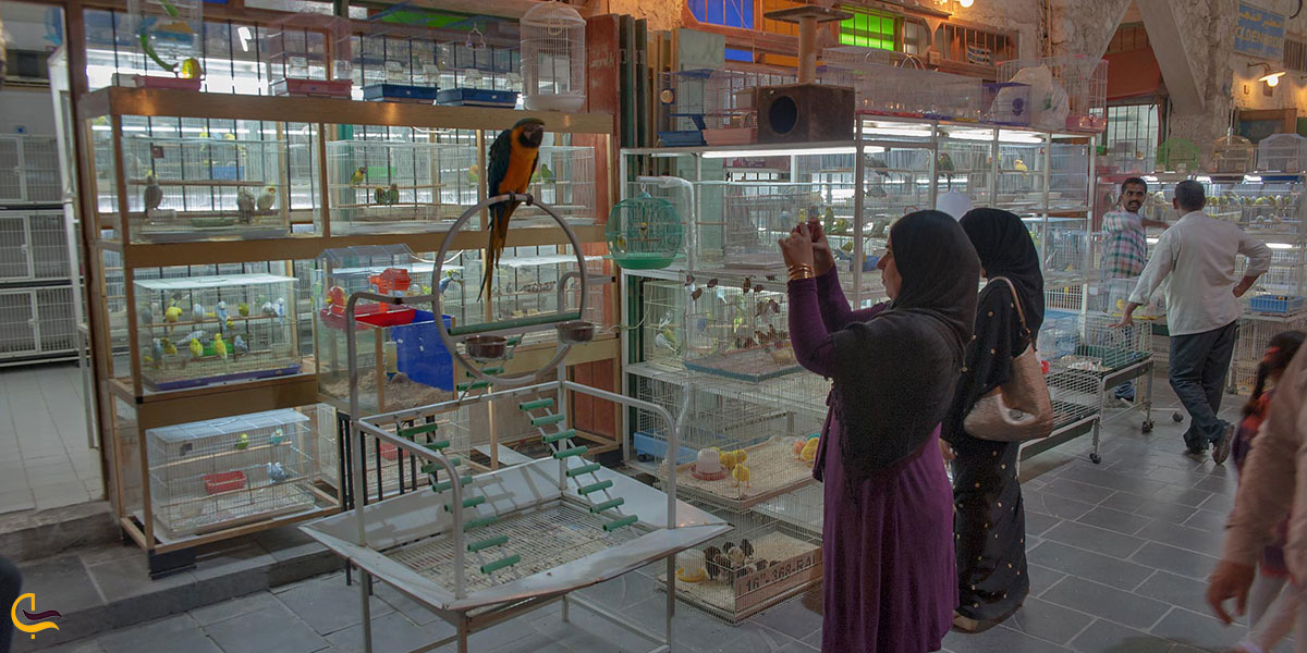 عکس بازار پرندگان دوحه یکی از بازارهای قطر