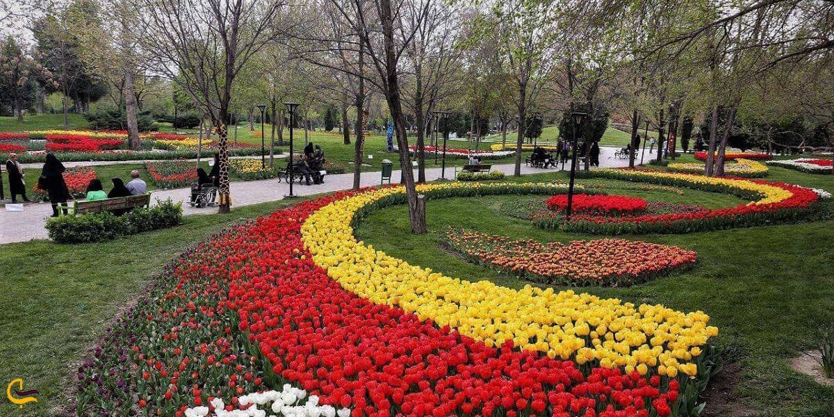 عکس گشت‌و‌گذار در باغ گل ها کرمانشاه