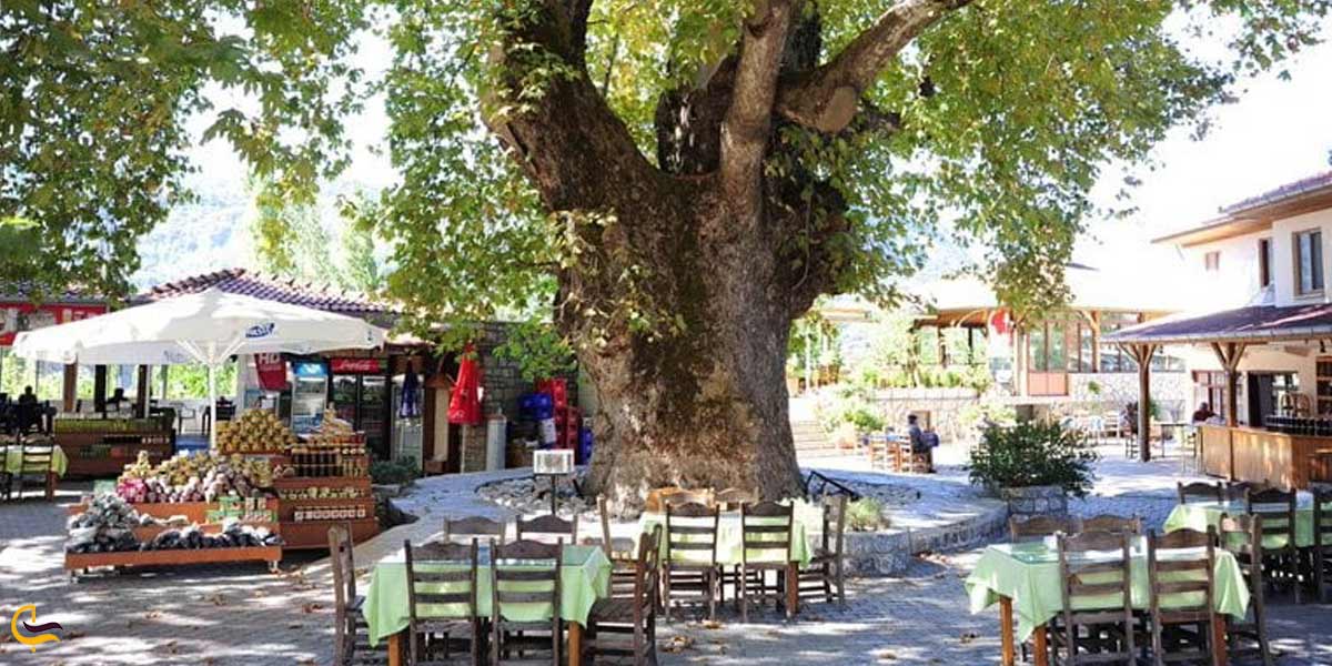 روستای بییر