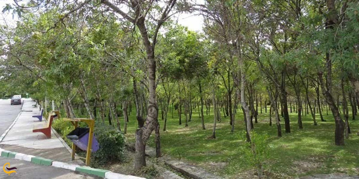 پارک جنگلی شیخ تپه ، از سرسبزترین جاهای دیدنی اطراف ارومیه