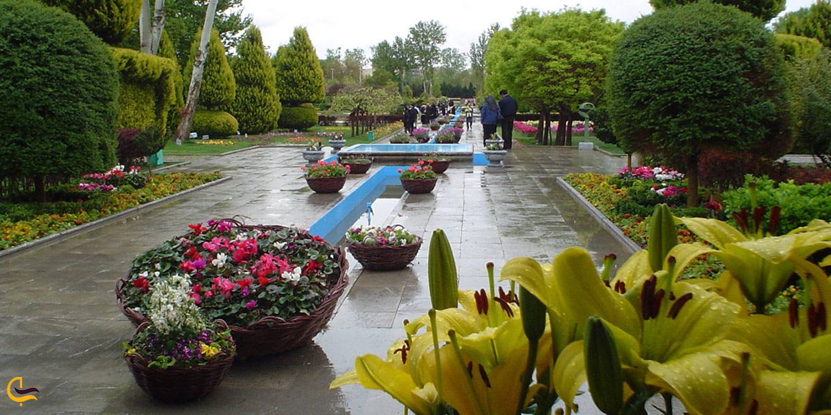 عکس بهترین زمان بازدید از باغ گل ها کرمانشاه