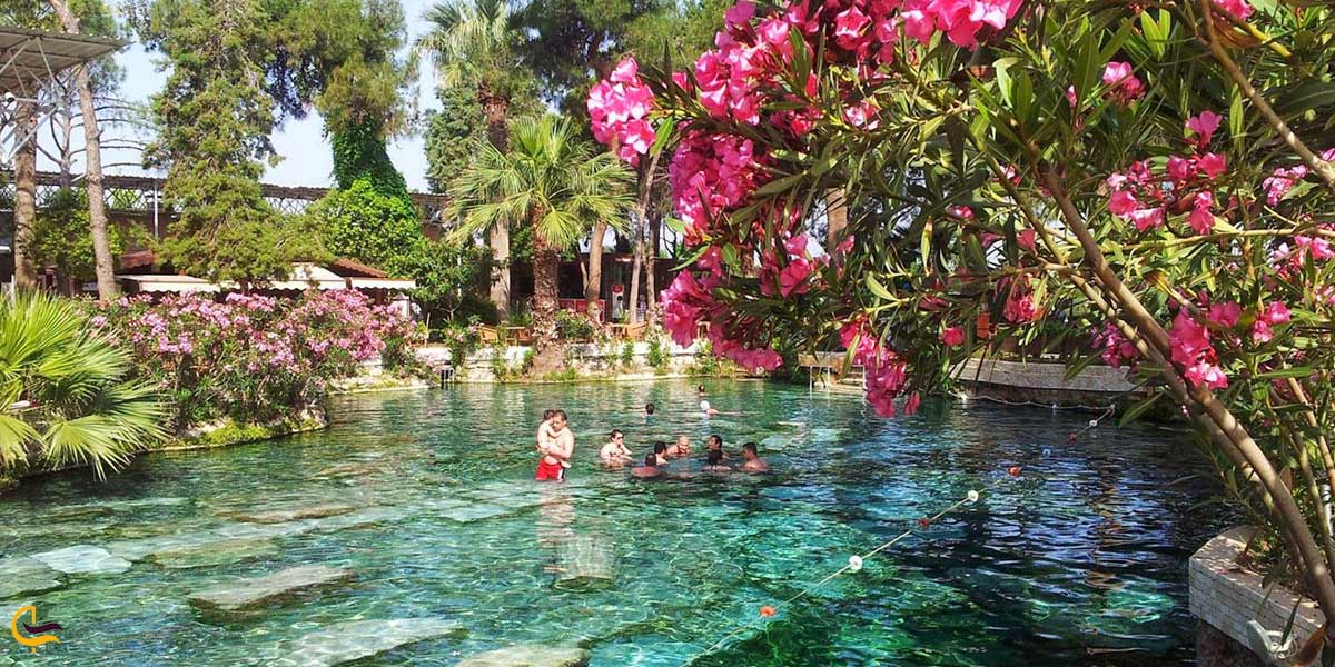 تفرجگاه تورونج