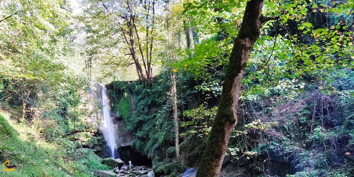 عکس پوشش گیاهی اطراف آبشار ترز