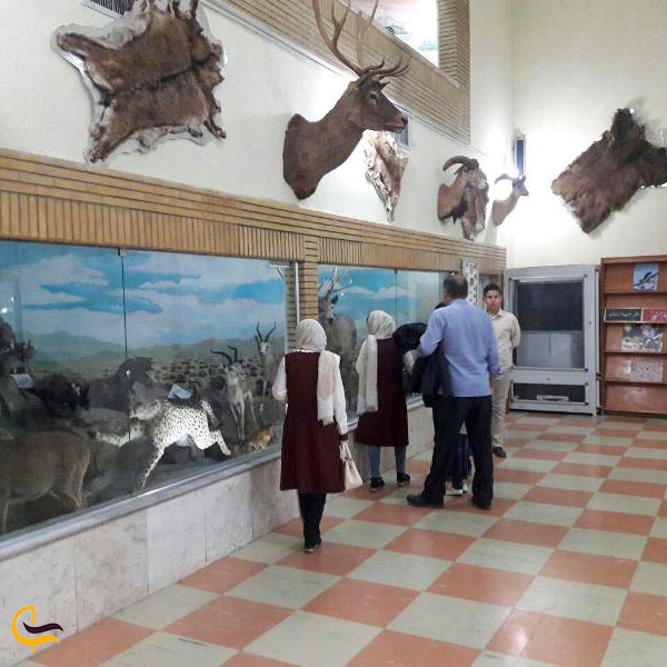 عکس موزه تاریخ طبیعی یکی از موزه های زنجان