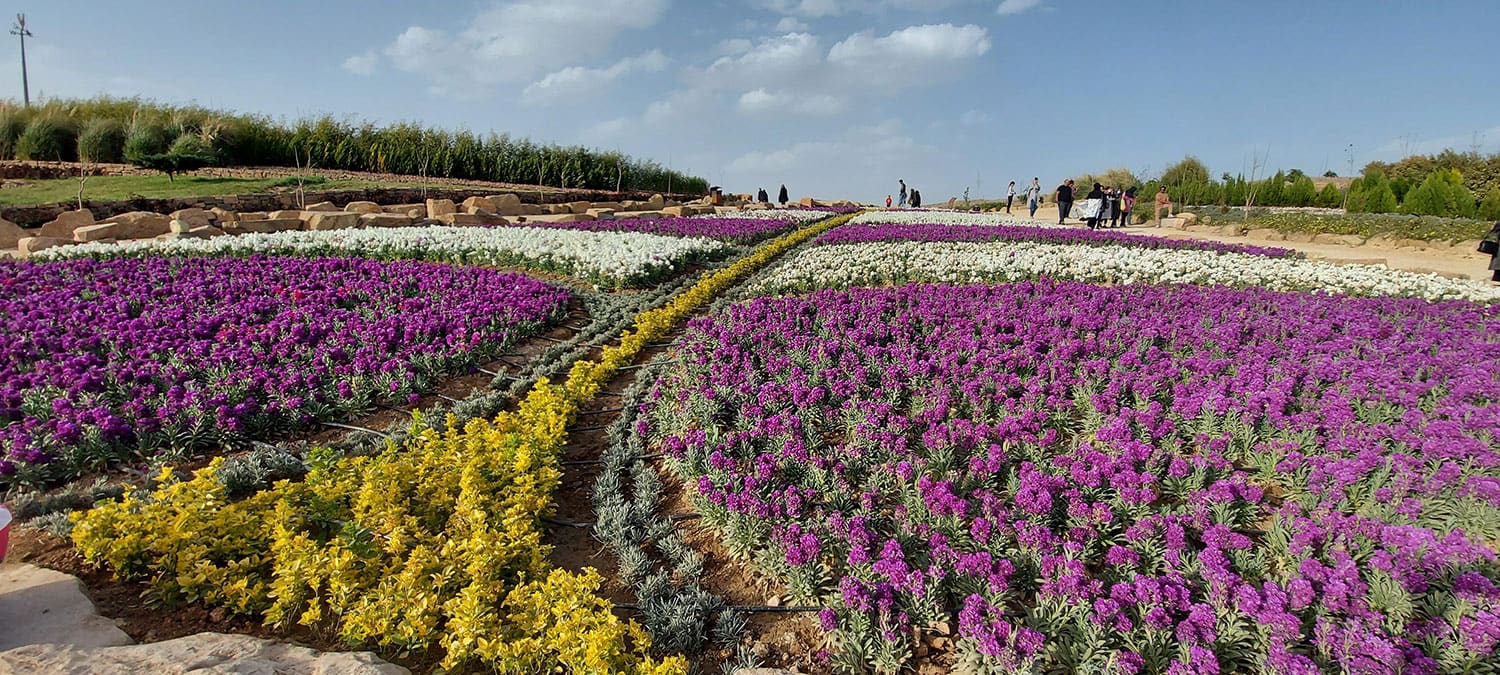 عکس باغ گلهای شیراز