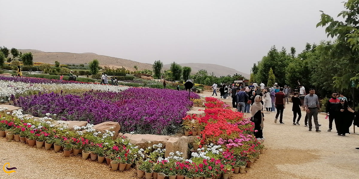 عکس بهترین زمان بازدید باغ گلهای شیراز
