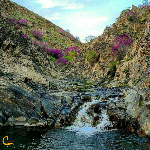 عکس شهرت دره ارغوان مشهد