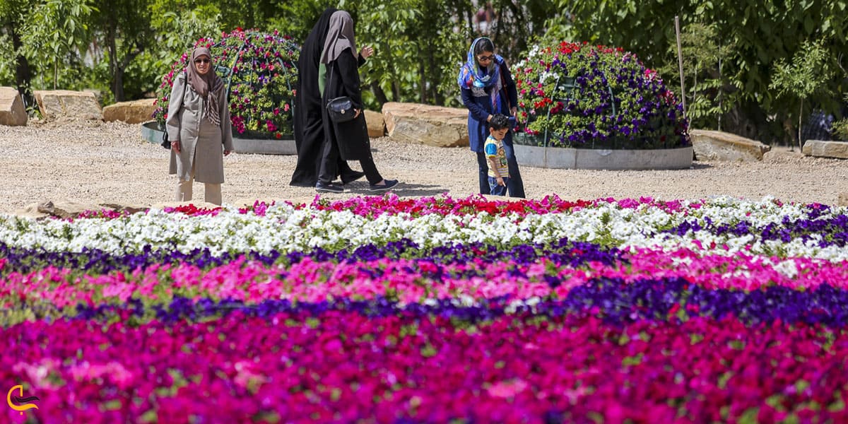 عکس جاذبه های گردشگری باغ گلهای شیراز