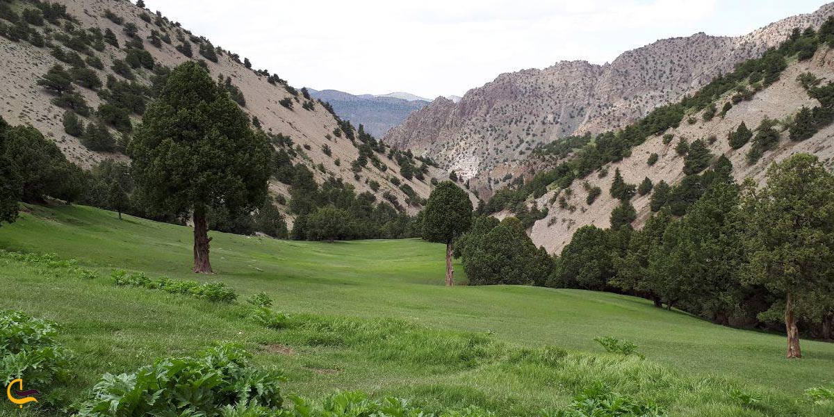 منطقه زیبای هزارمسجد