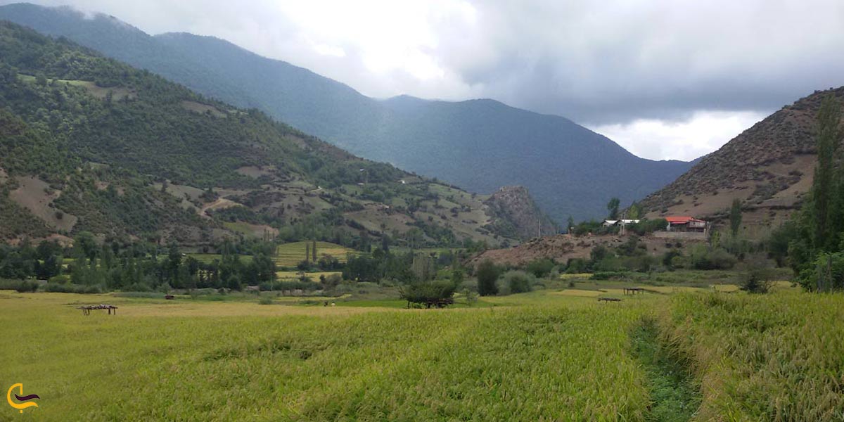 دره سعید آباد