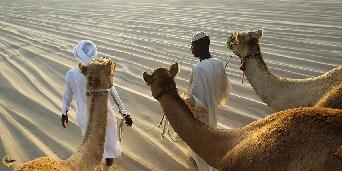 عکس صحرای دوحه از جاهای دیدنی قطر