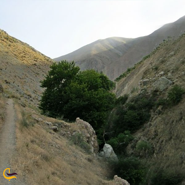 عکس دره دوچناران جاذبه‌های طبیعی در روستای کن سولقان تهران‌