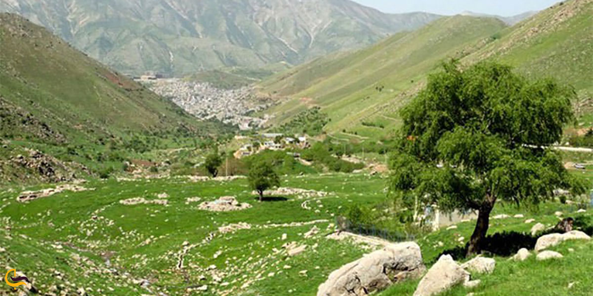 عکس ییلاق ویمیر از جاهای دیدنی اطراف کرمانشاه
