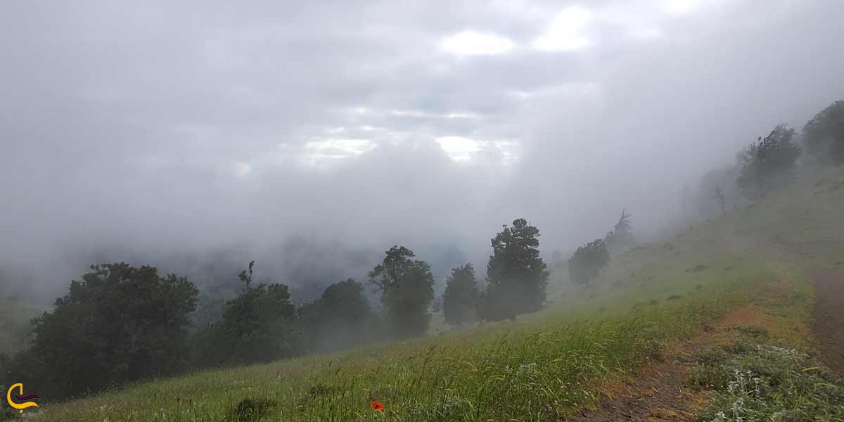 علت نامگذاری منطقه ییلاقی سلانسر