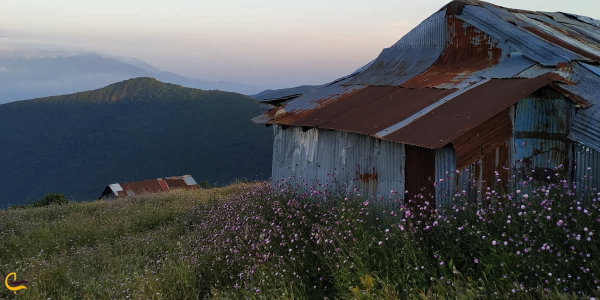 معرفی ییلاق سلانسر