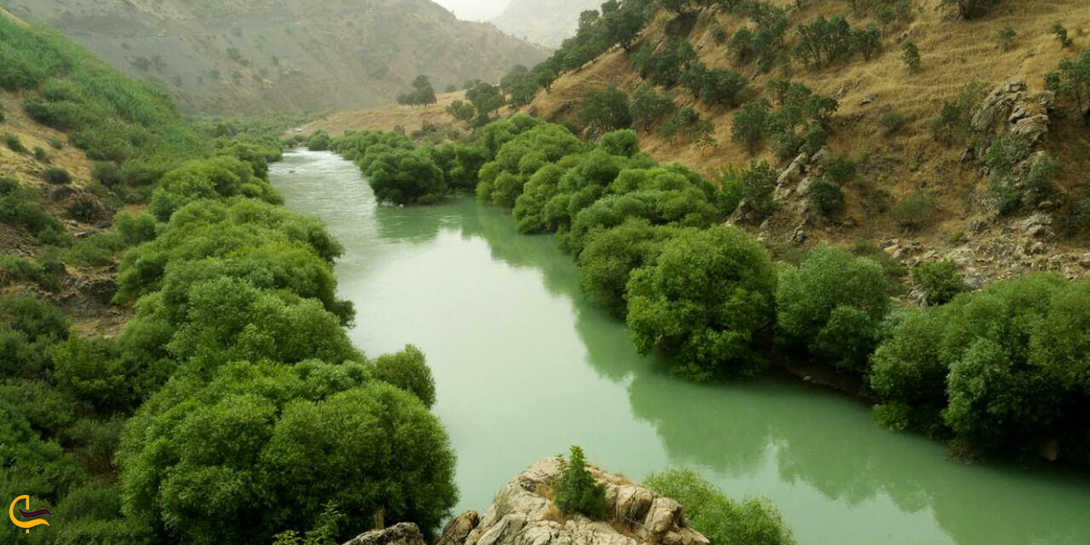 پوشش گیاهی اطراف رودخانه سیروان پاوه