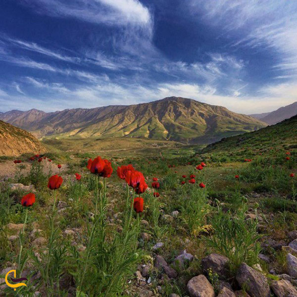 پارک ملی لار از جاذبه های گردشگری روستای پلور لارین