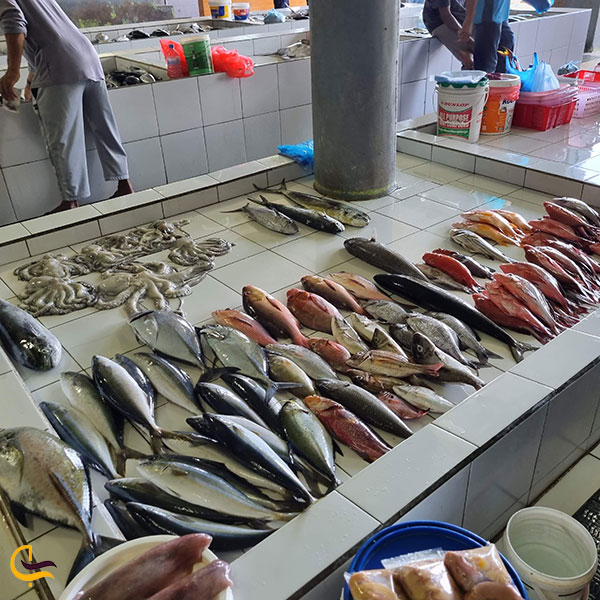 بازار بزرگ ماهی ماله مالدیو یکی از جاذبه های گردشگری مالدیو