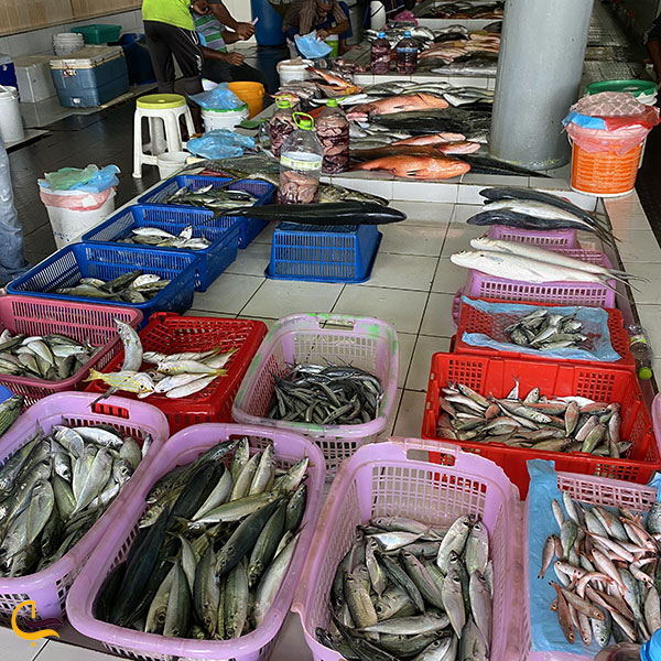 بازار بزرگ ماهی ماله مالدیو یکی از جاذبه های گردشگری مالدیو