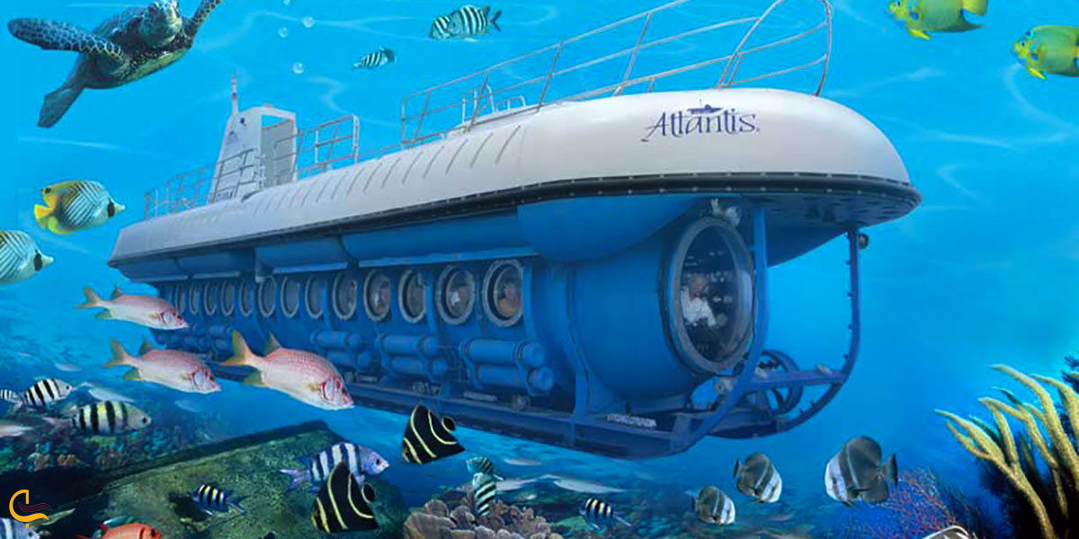 زیردریایی وال مالدیو یکی از جاذبه های گردشگری مالدیو