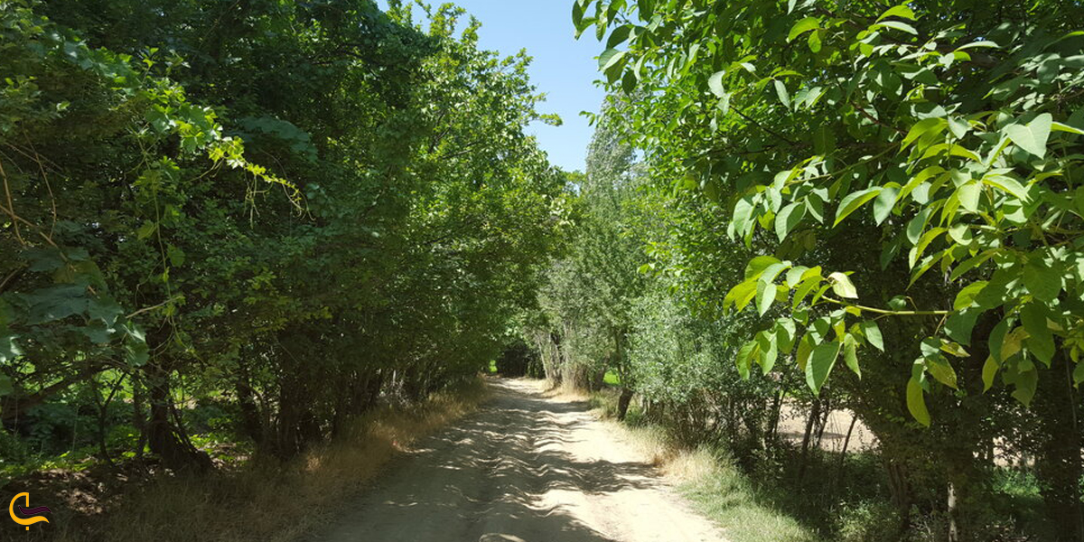 جاذبه های گردشگری قلعه باستانی باغ دره لواسان