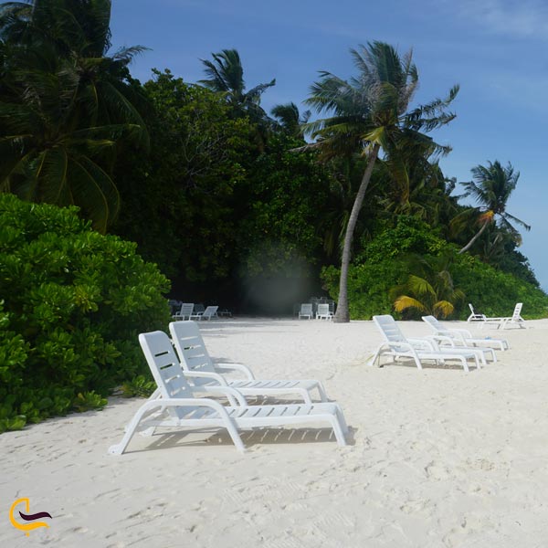استراحتگاه جزیره بیادو (Biyadhoo Island Resort)