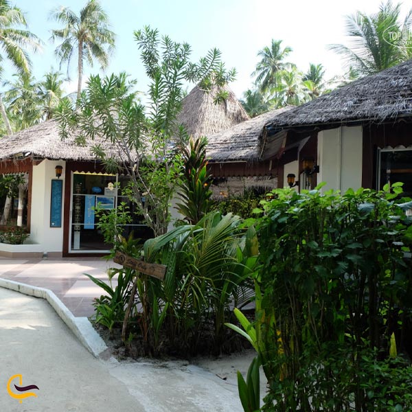 استراحتگاه جزیره بیادو (Biyadhoo Island Resort)