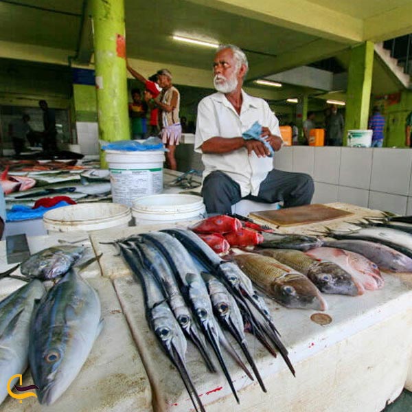 بازار بزرگ ماهی ماله
