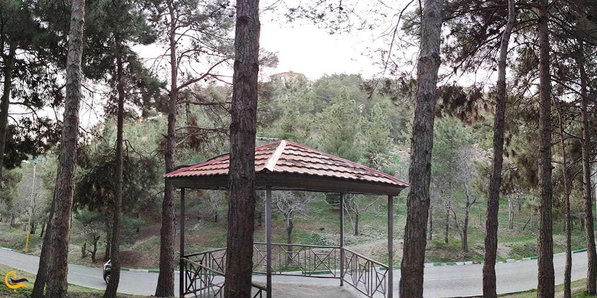 دیگر امکانات رفاهی و تفریحی پارک لویزان