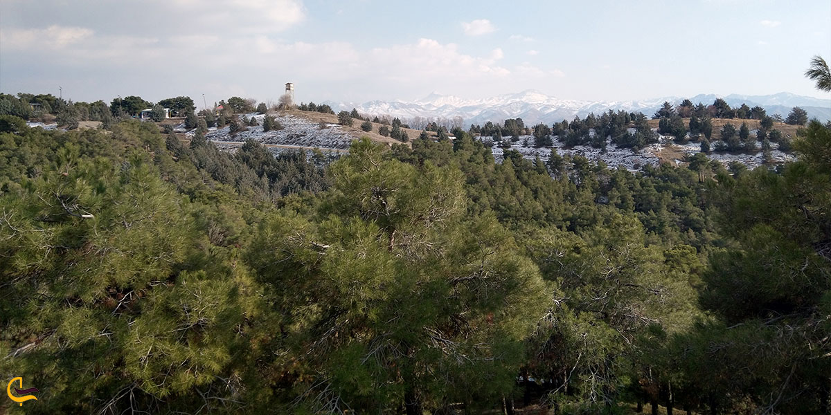 بهترین زمان بازدید در پارک لویزان