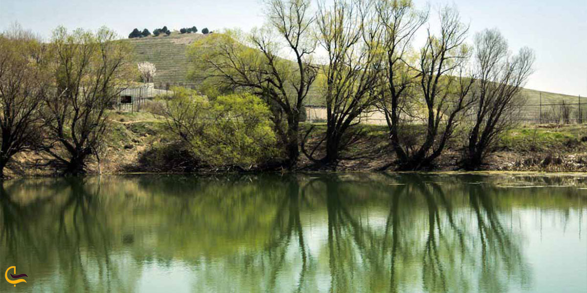بوستان جنگلی یاس فاطمی