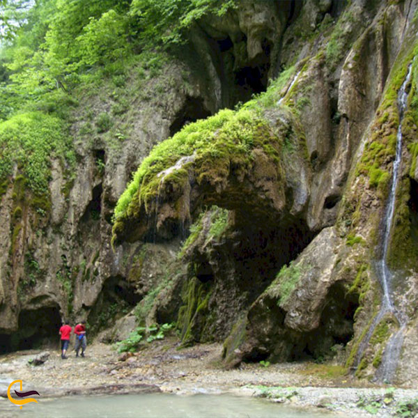 آبشار قطره باران از جاهای دیدنی نزدیک به درخت ششناو