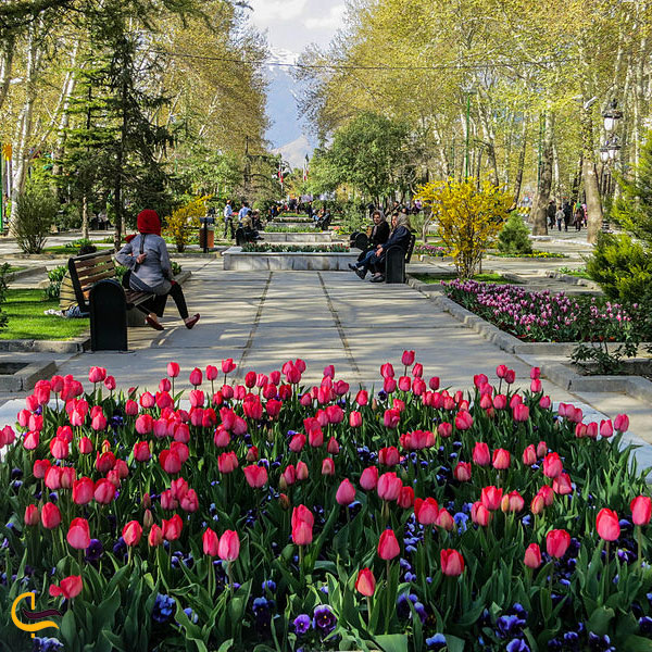 امکانات رفاهی پارک ملت تهران