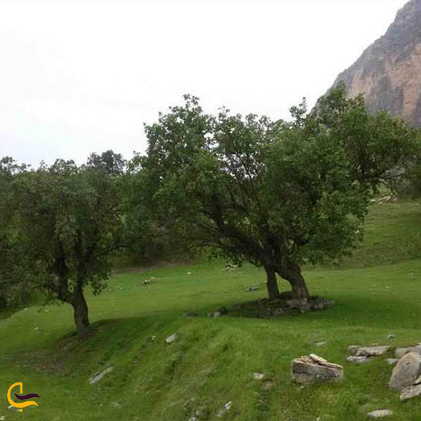 طبیعت‌گردی در منطقه حفاظت شده شیمبار