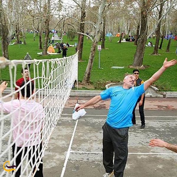 والیبال در پارک ملت تهران