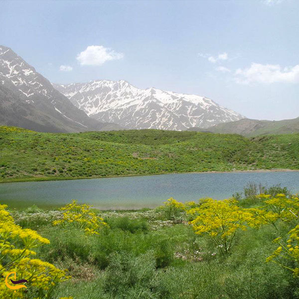 دریاچه گل پل شاهی