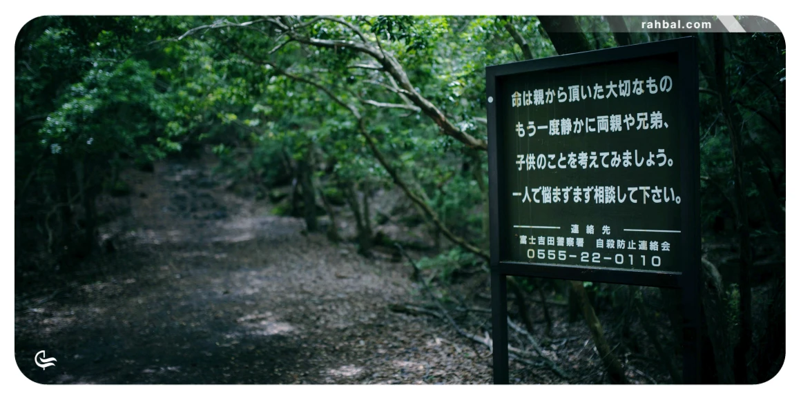 تصویری از جنگل آئوکیگاهارا در ژاپن 