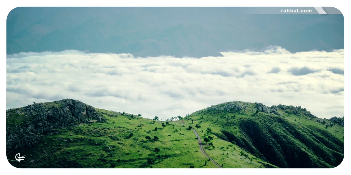 تصویری از جنگل ابر