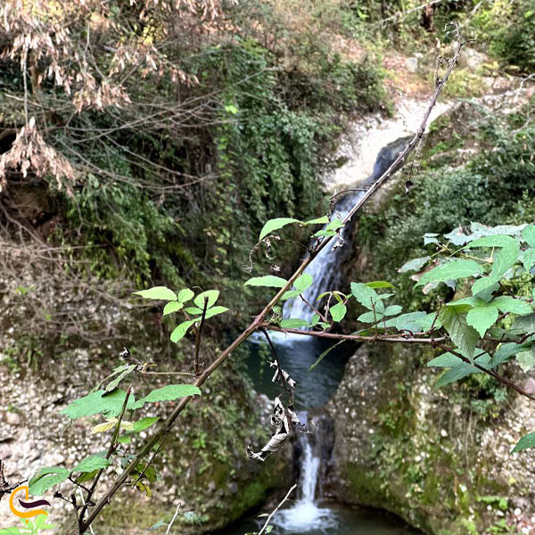 آبشار پلنگ‌دره