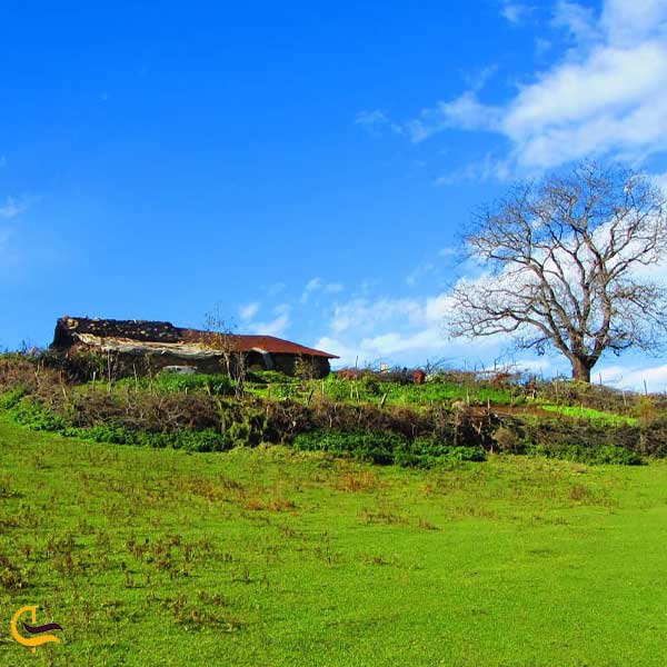 روستای سنگچال