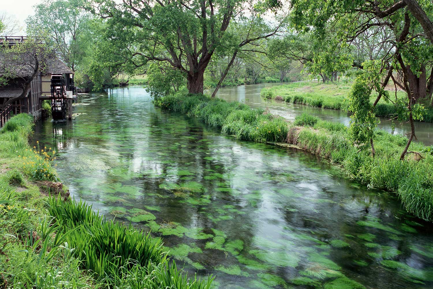 راهنمای سفر جویبار