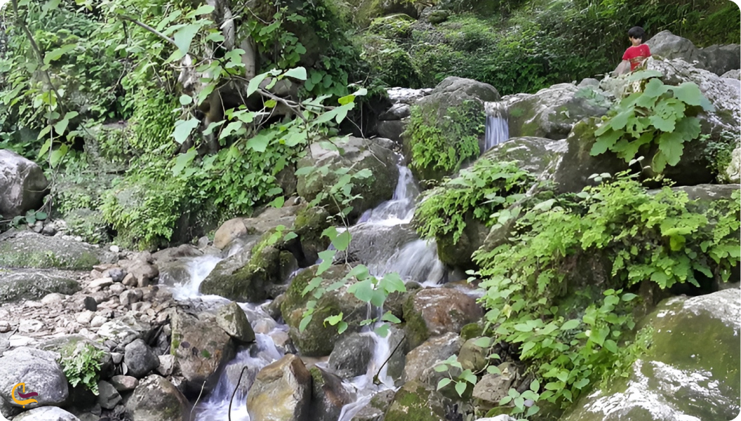 روستای چلندر نوشهر