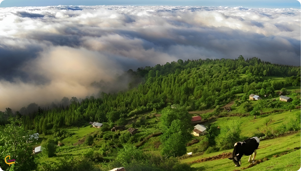 تنگه بهشت از جاهای دیدنی عباس آباد