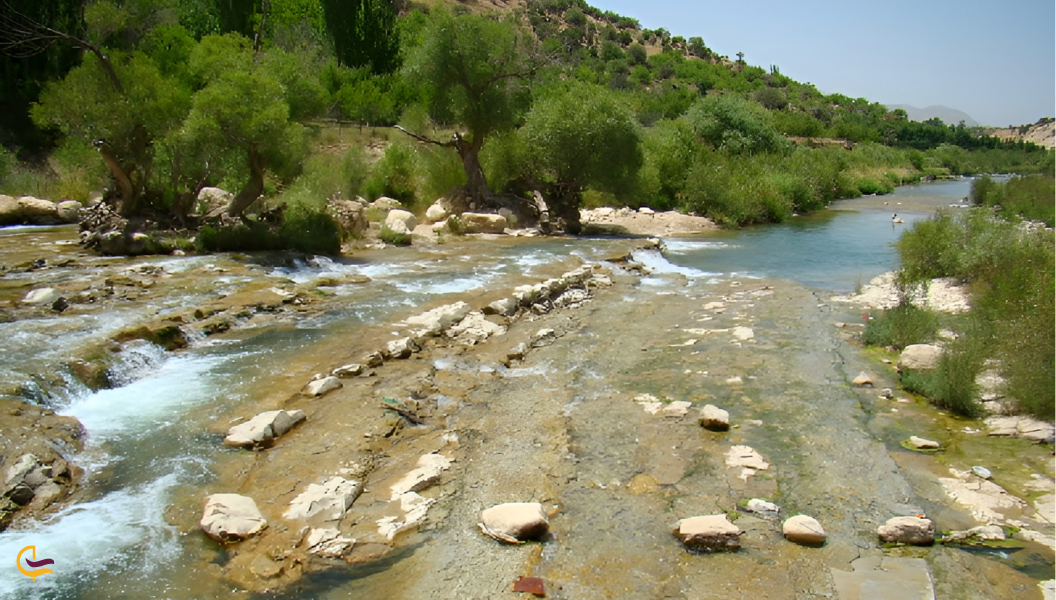 آب و هوای شیراز